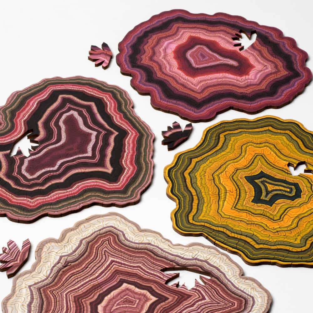 geode jigsaw puzzles nervous system fy 2
