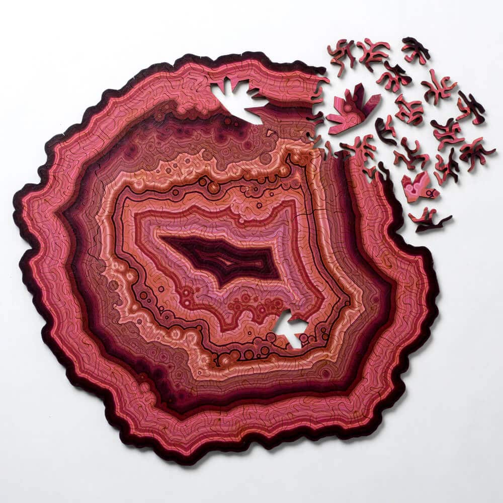geode jigsaw puzzles nervous system fy 4