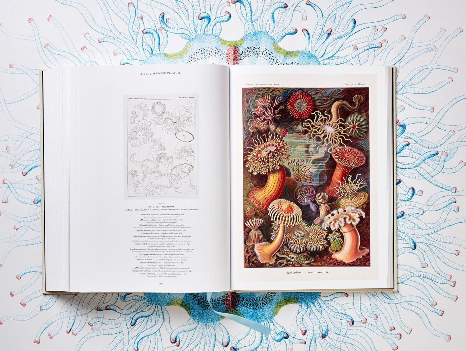 the art and science of ernst haeckel fy 9