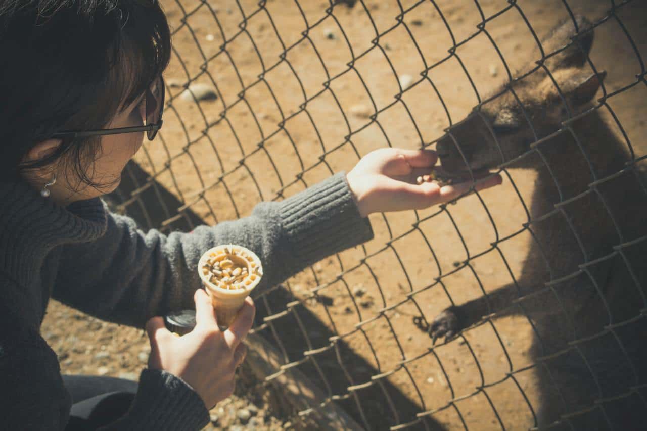 Exotic Australian Foods You Won't Find Anywhere Else