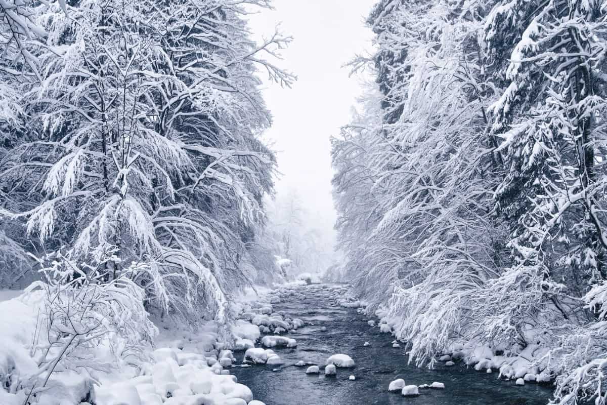 Frozen Landscapes of Germany's Winter by Kilian Schönberger