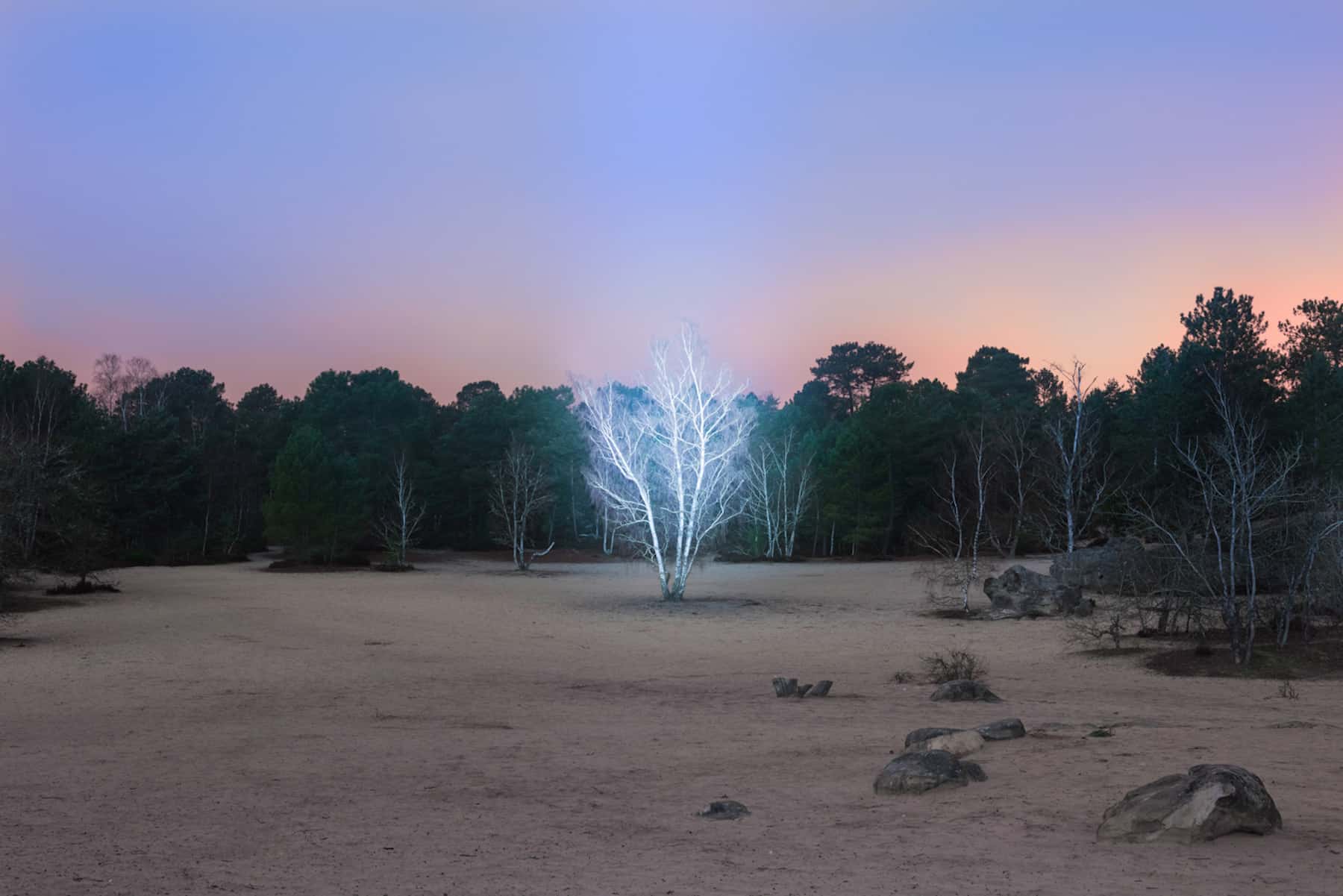 Marche Celeste: Alexis Pichot’s Woodland series Revitalized His Sense of Self