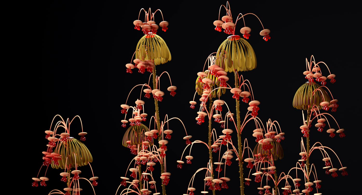 A Danish Florist Created Dazzling Botanical Animations For Hanami 2050