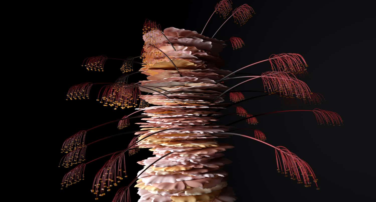 A Danish Florist Created Dazzling Botanical Animations For Hanami 2050