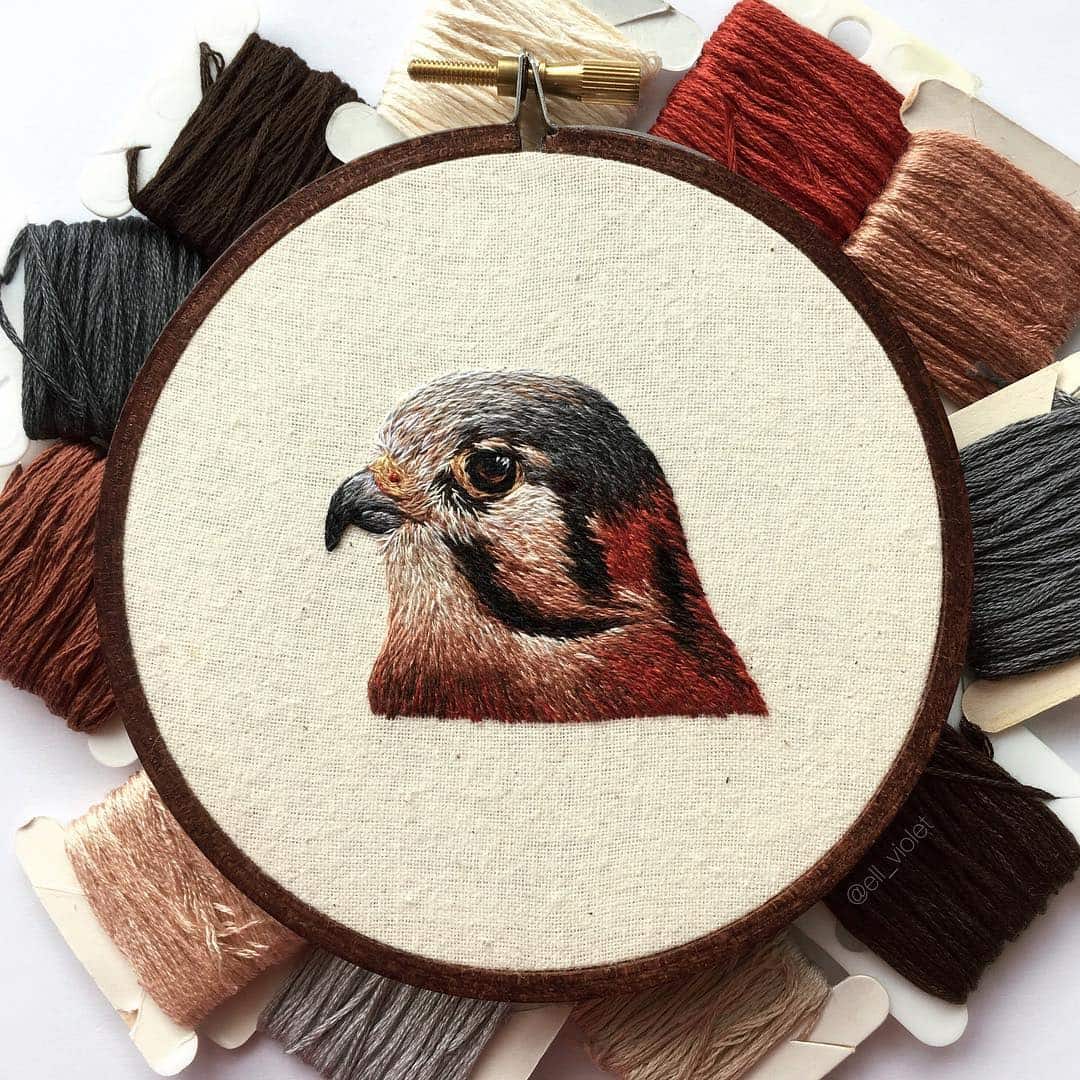 Incredibly Beautiful Bird Embroideries Show Details Of These Amazing Creatures