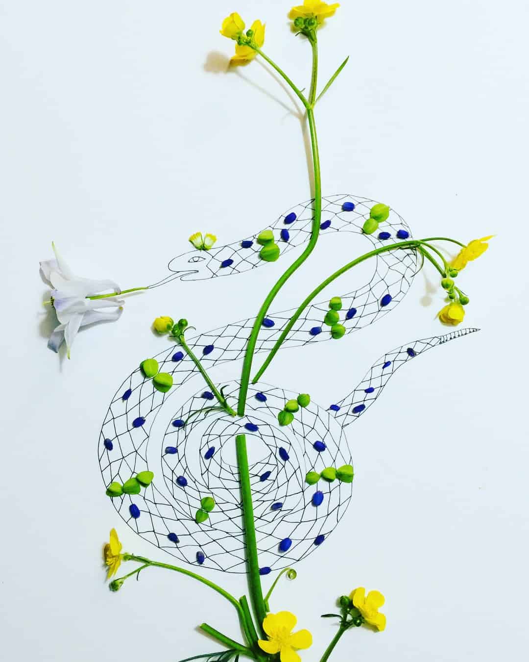 Melissa Rossi Flesher Merges Quirky Drawings with Real Flowers