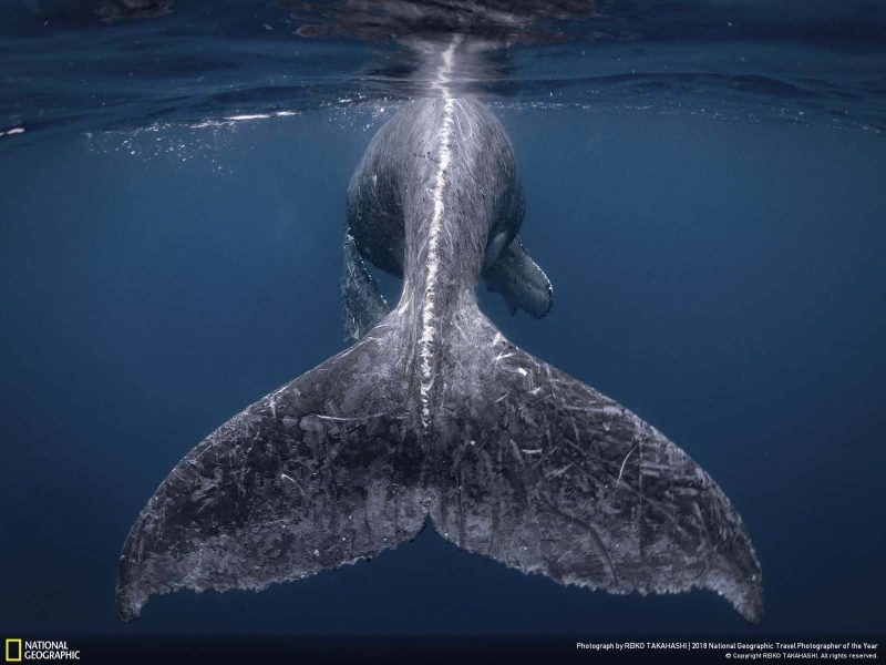 National Geographic Revealed the Winners and People’s Choice of the 2018 Travel Photographer of the Year Contest