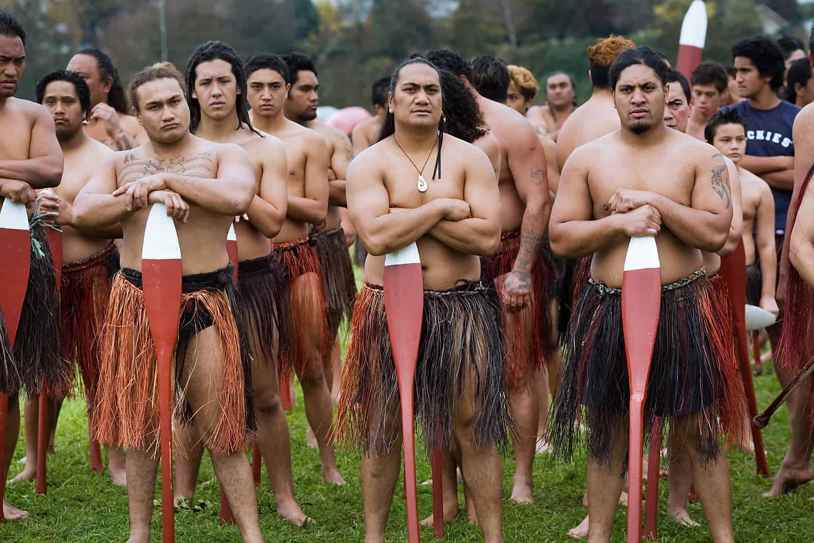 Māori People | FREEYORK