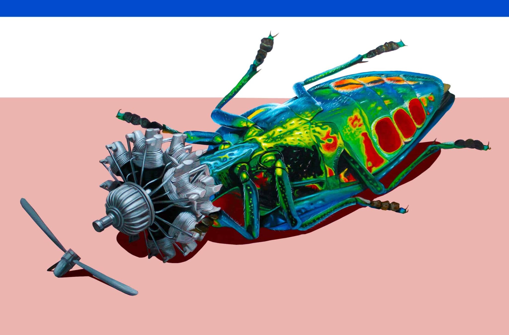 An Artist Creates Insect-Machine Hybrids To Raise Awareness | FREEYORK