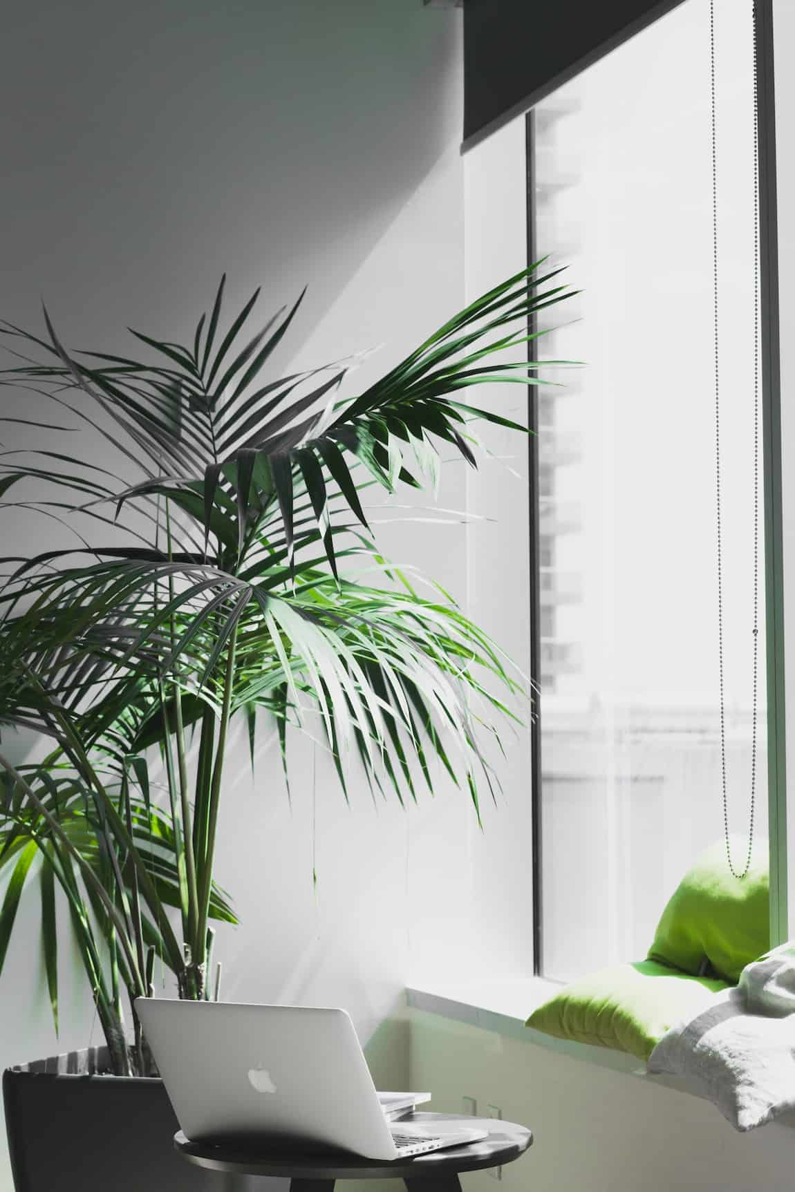 How Office Design Can Reduce Stress and Increase Productivity