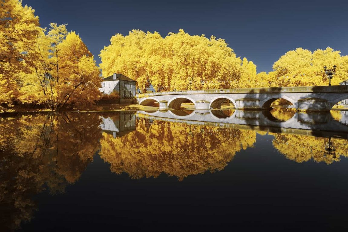 Infrared Photography By Pierre Louis Ferrer Shows French Scenery In Rich Yellow Hues Freeyork