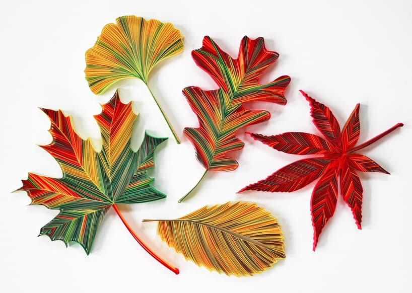 Beautiful Floral Artworks From JUDiTH + ROLFE Captivate The Diversity In Nature