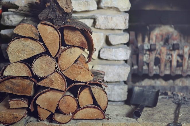 10 kick-ass ways to get rid of pests at home - like a ninja!