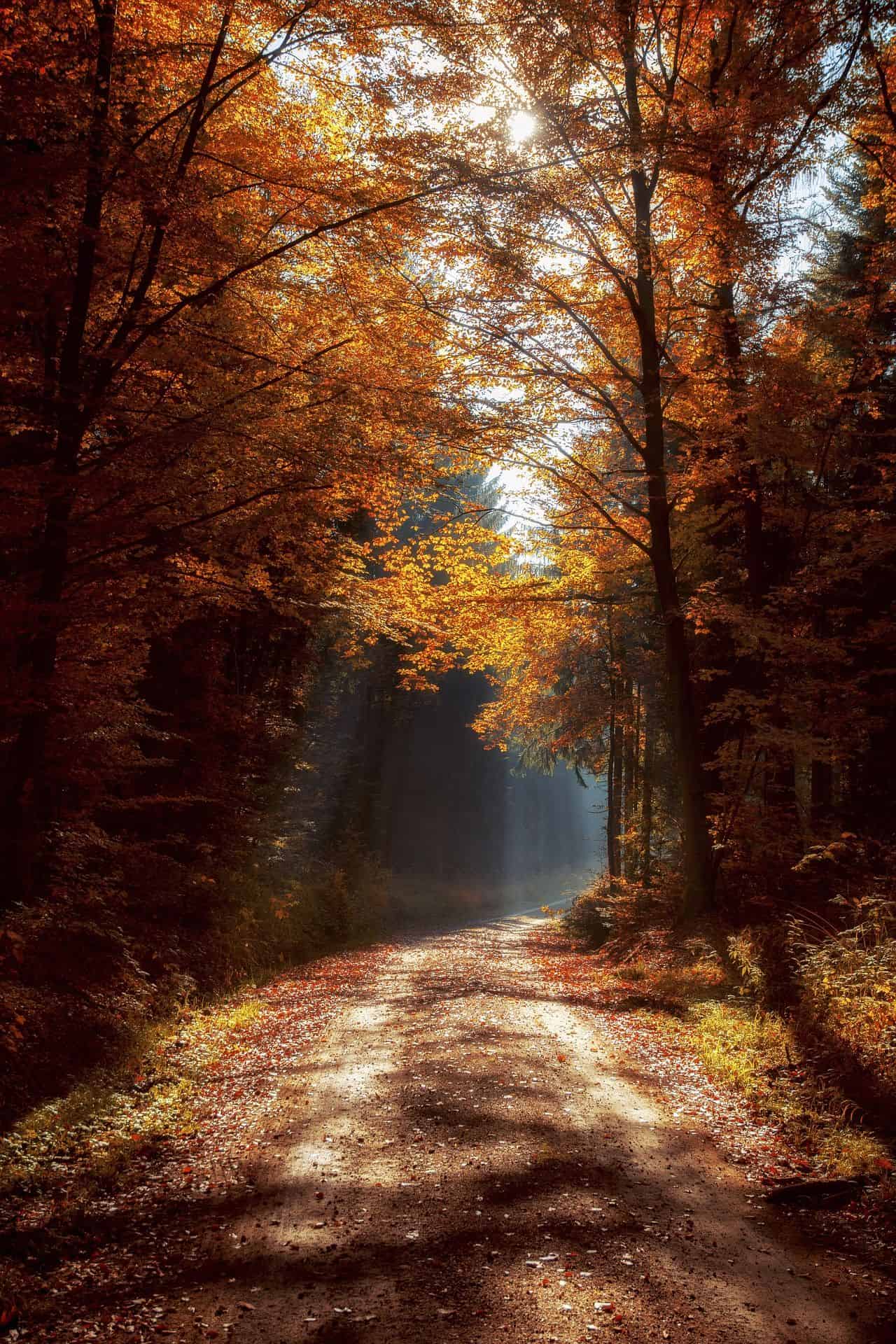 Autumn inspiration to get your instagram grid ready for the season