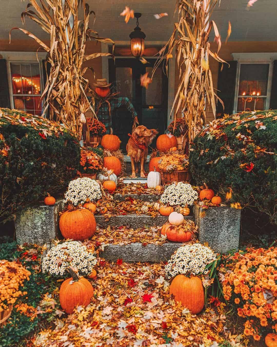 Unusual ideas to decorate your home for this Halloween