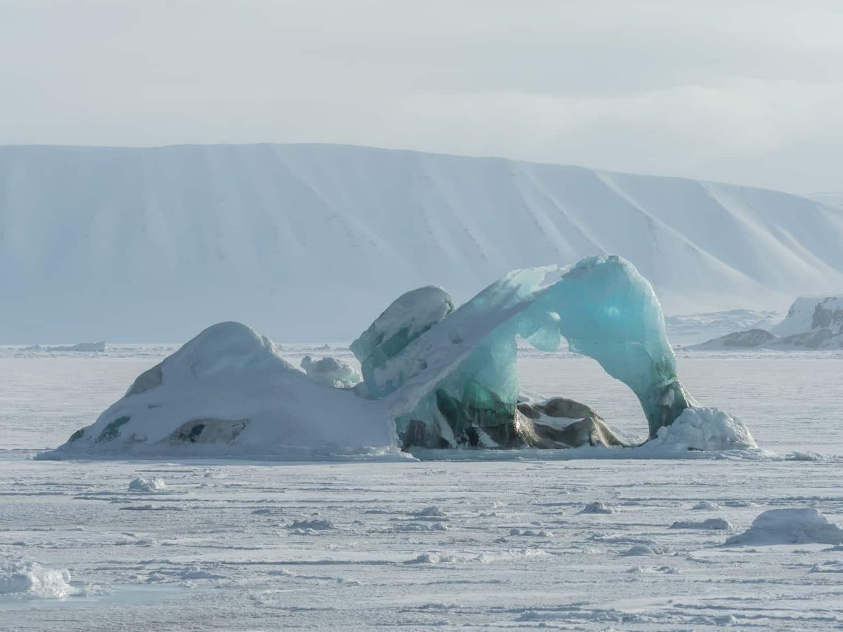 Night stargazing in an igloo on the North Pole captured in the pictures