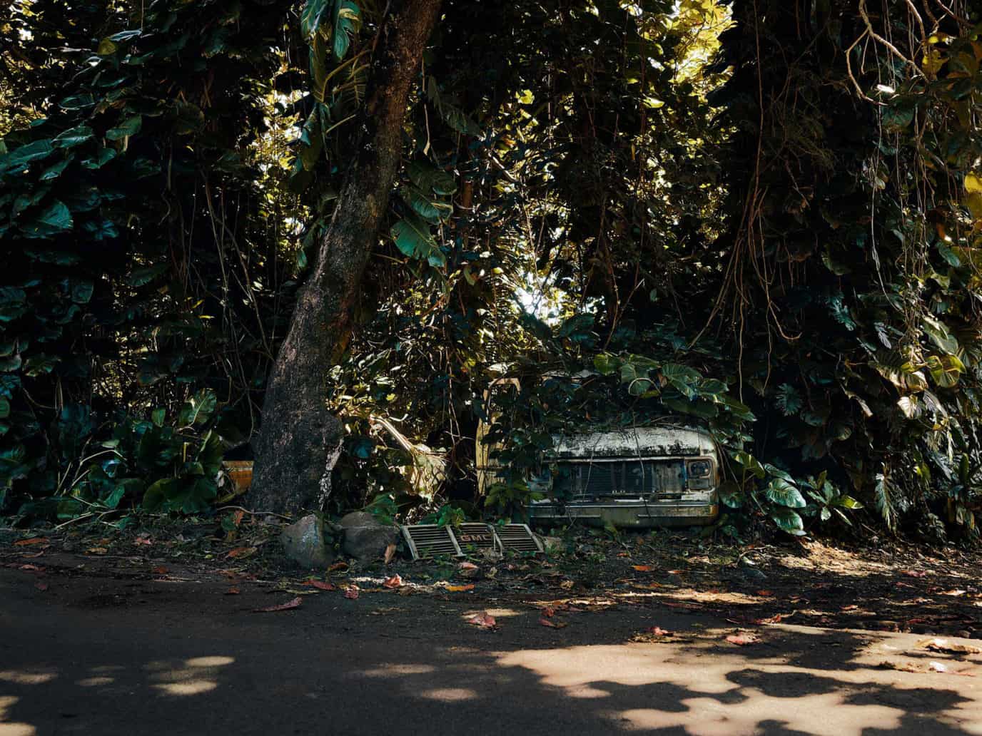 Photos of abandoned cars swallowed by Hawaii’s jungles captured by Thomas Strogalski