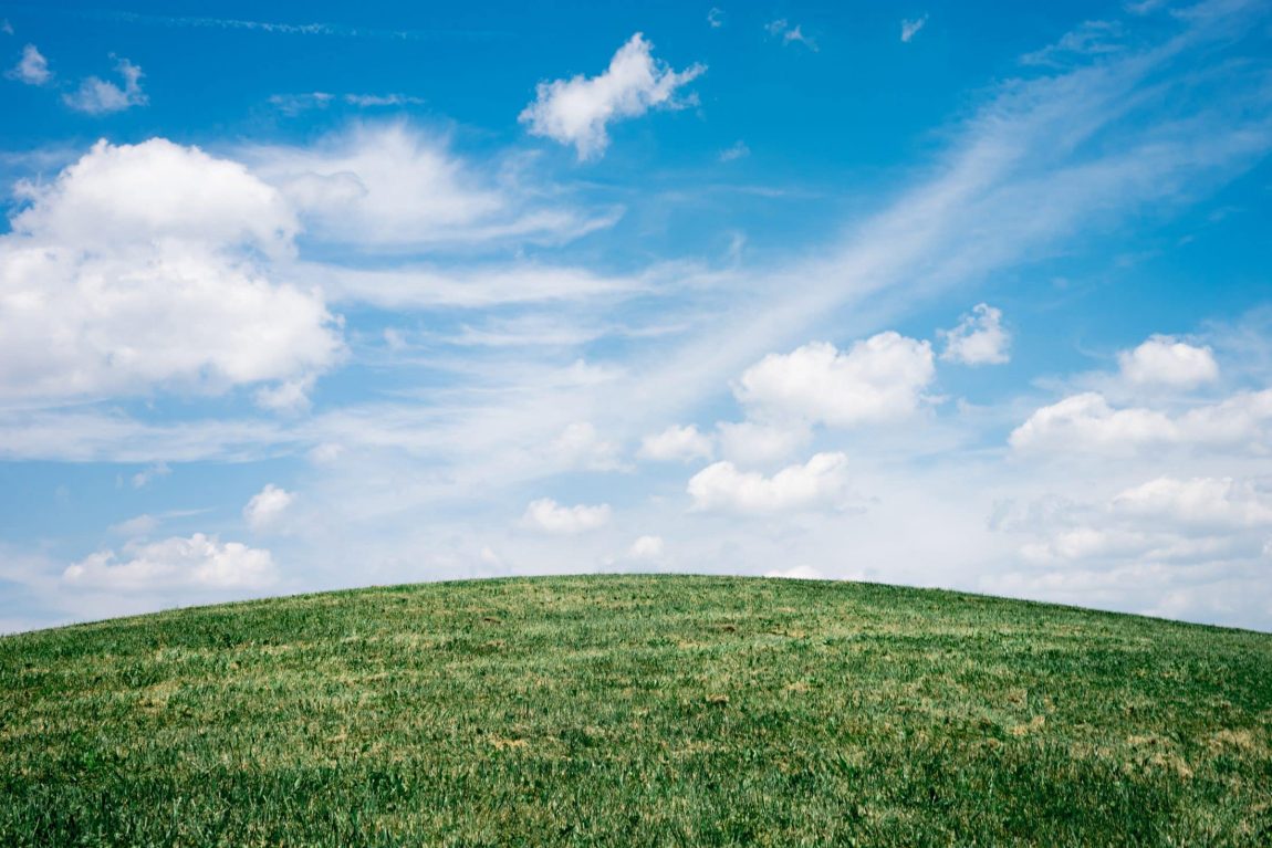 Grassland