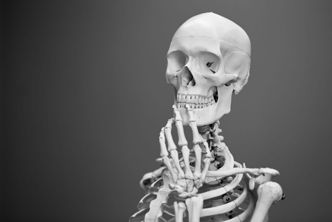 Skeleton 8rj4sz9ylci