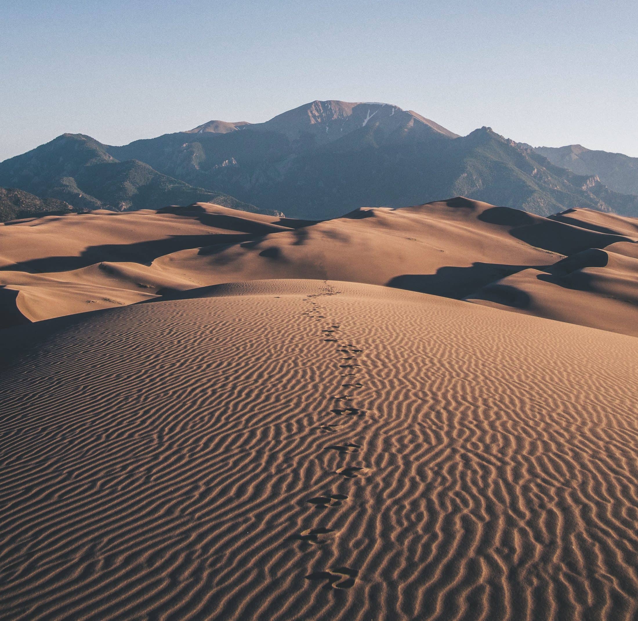 mojave-desert-freeyork