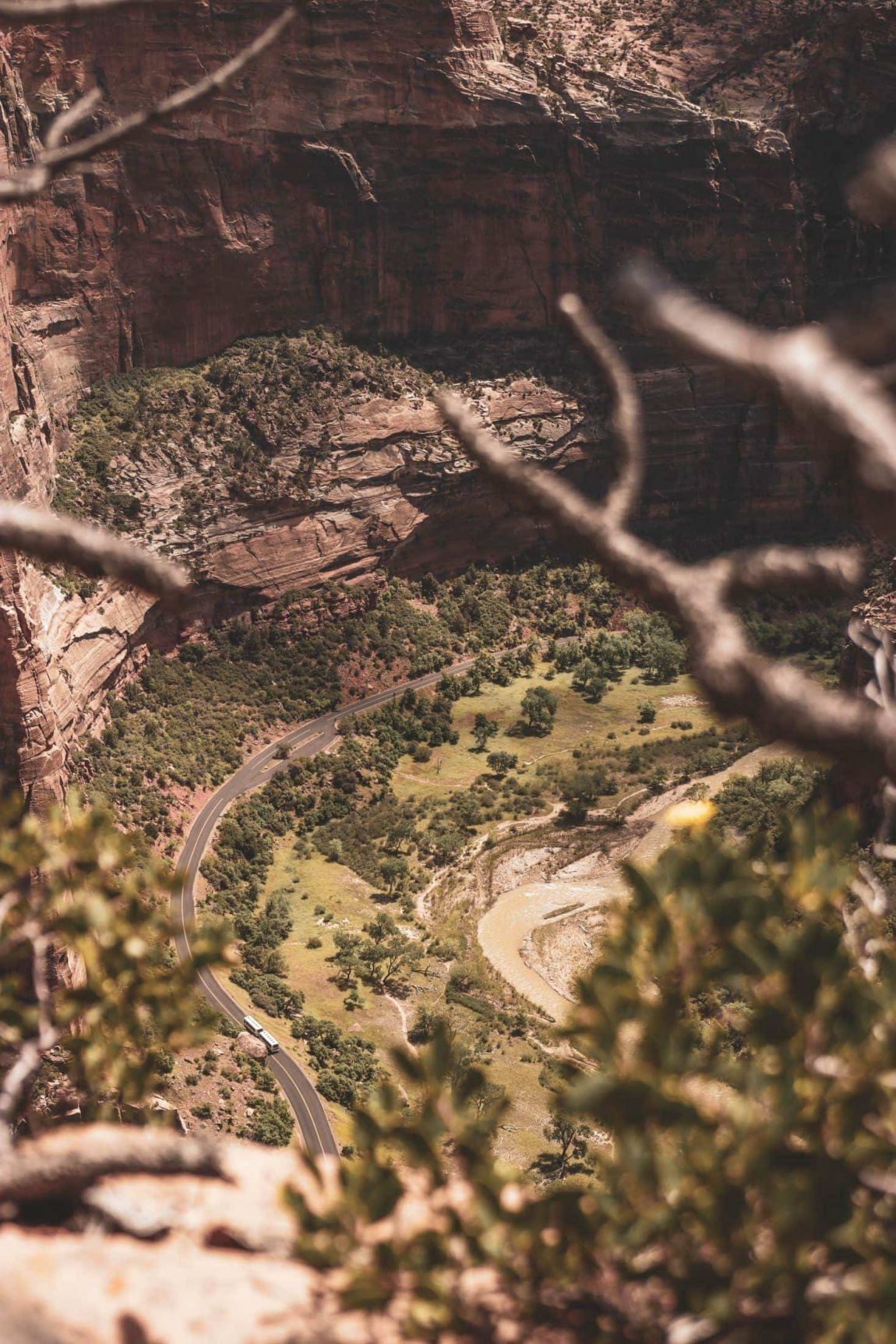 Zion National Park