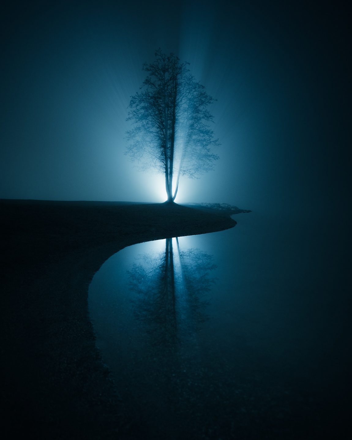 Mikko Lagerstedt's Magnificent Trees In Laid-back Finnish Landscapes ...