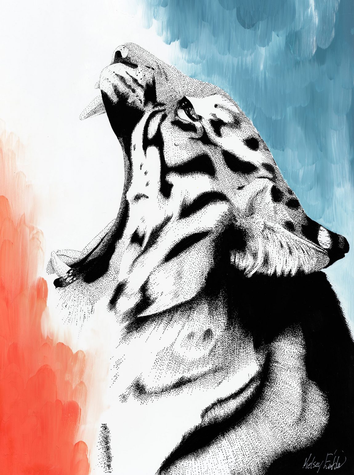 Dreamy Tiger © Kelsey Emblow