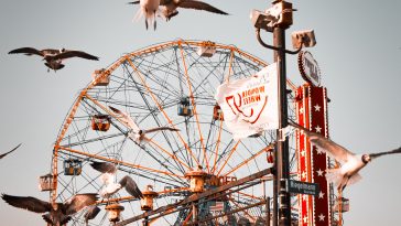 flock of birds flying near ferris wheel