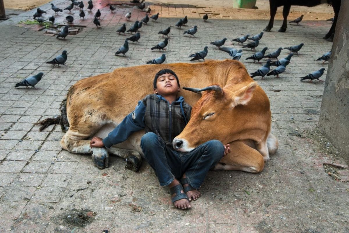 Steve McCurry's way of Capturing Human Connection to Animals Around the World