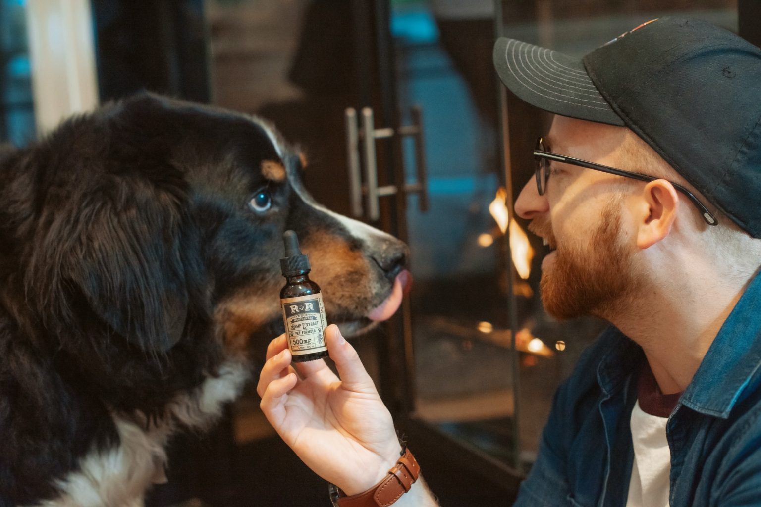 CBD for Dogs. Dogs CBD. Owner holding Dog.