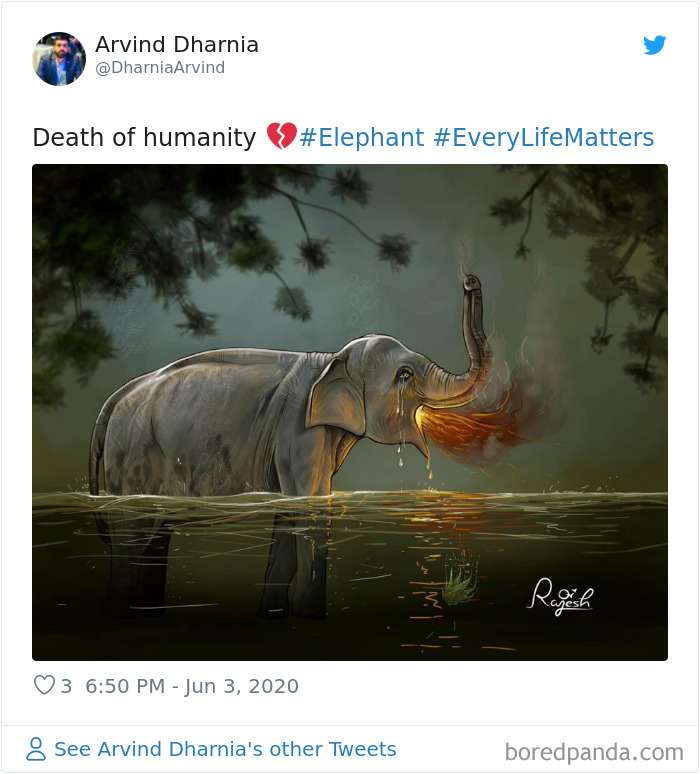A tribute to the elephant that died after eating a pineapple stuffed with firework