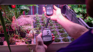 measuring humidity in greenhouse ZB559FG