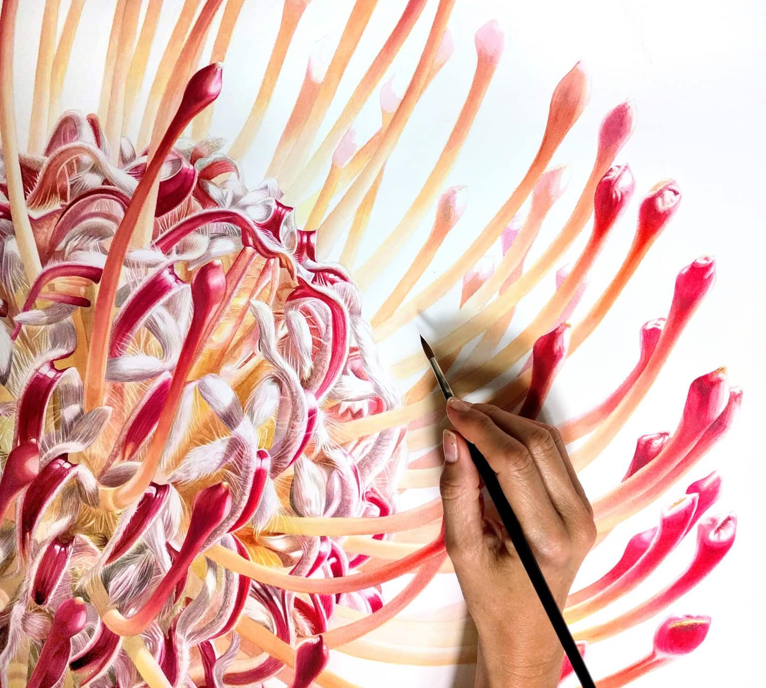 Denise Ramsay and her elegant blooms floating amid botanical watercolor paintings