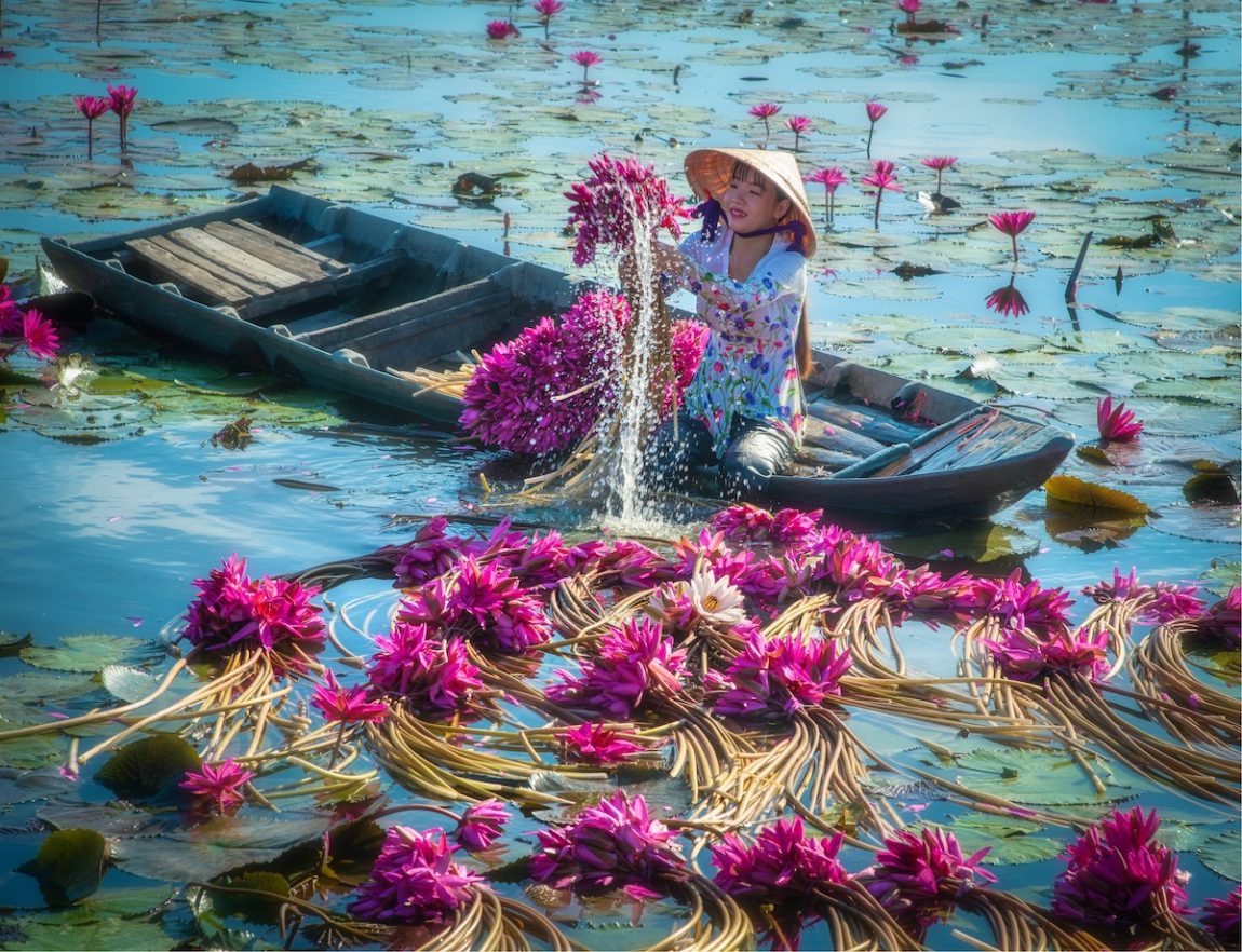 Photos Of Farmers Yielding Lilies From The Mekong Delta | FREEYORK