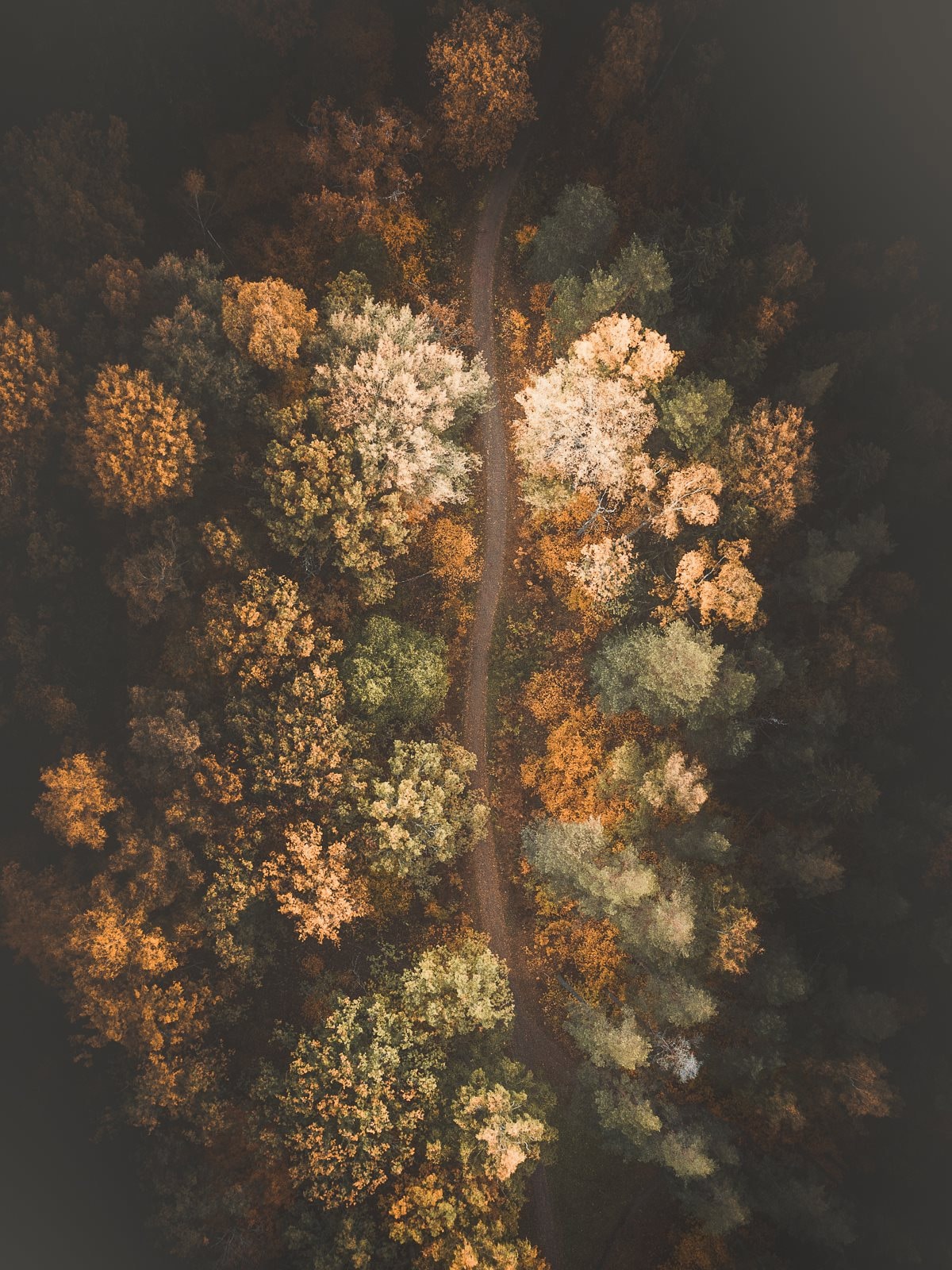 Aerial Photographer captured Beauty of the Earth on the Grand Scale