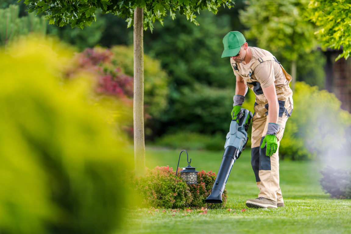 A Quick Guide To The Husqvarna 150bt Leaf Blower Freeyork