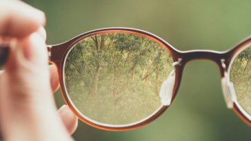 person holding brown eyeglasses with green trees background
