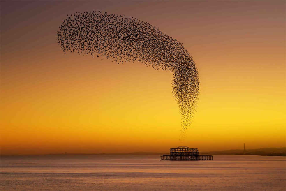 Winners of the 2020 Landscape Photographer Of The Year Awards