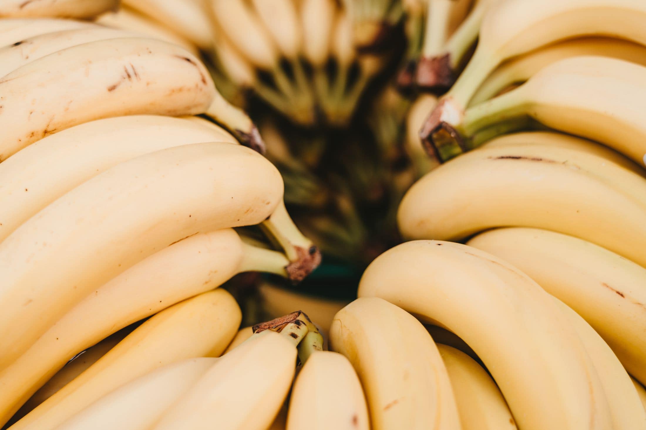 3 Perfect Foods to Boost Your Gut Flora pile of yellow banana fruits