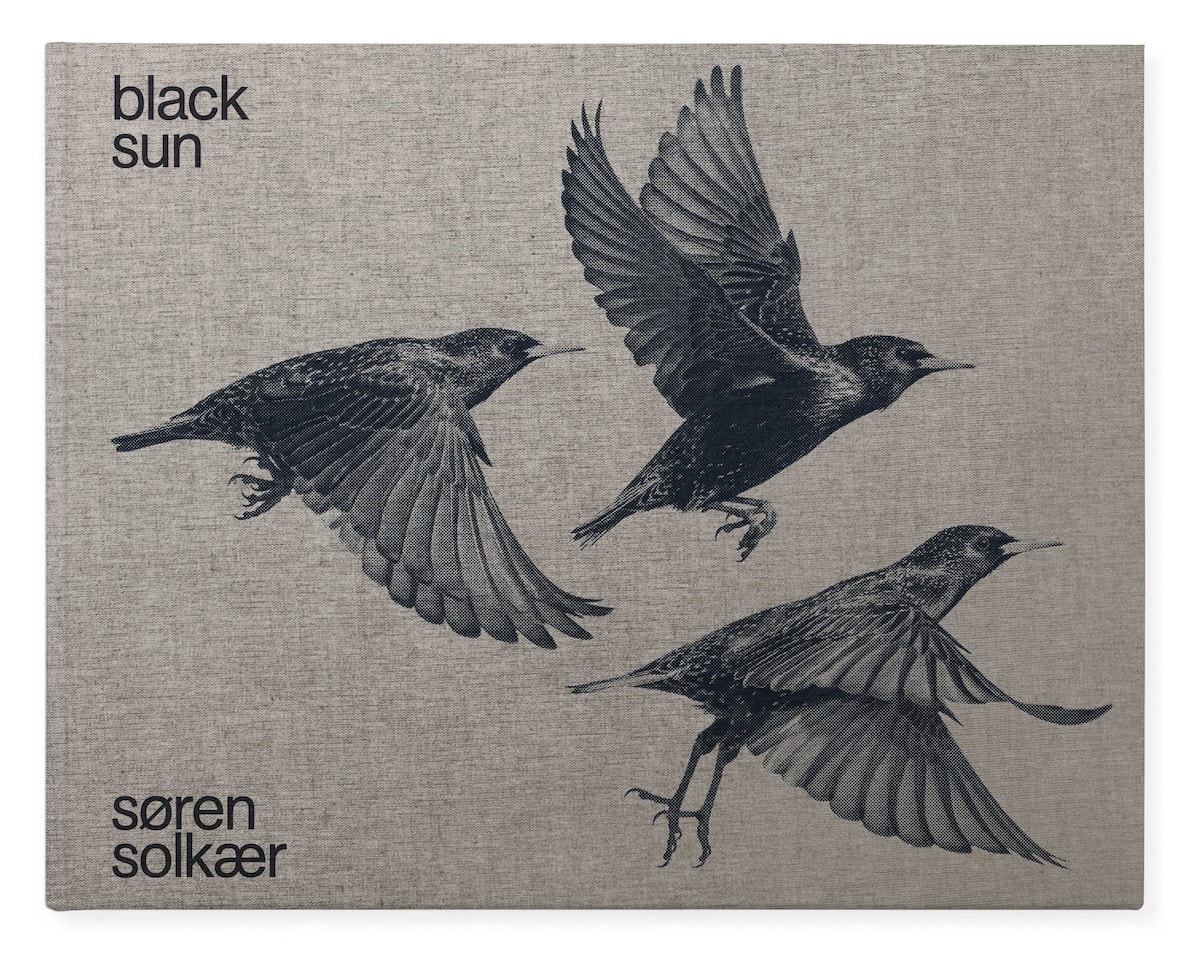 Photographer Søren Solkær captures stunning starling murmurations