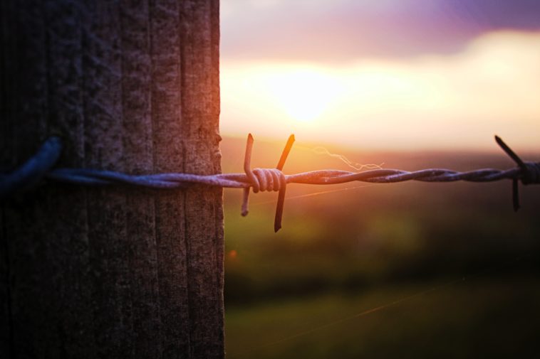 Wire barb wire on post