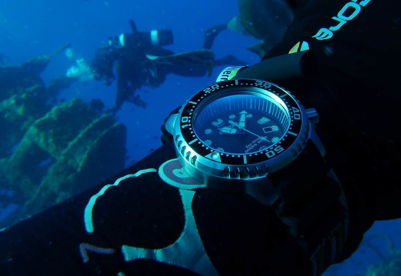 Citizen BN0151 09L Promaster Professional Diver 2
