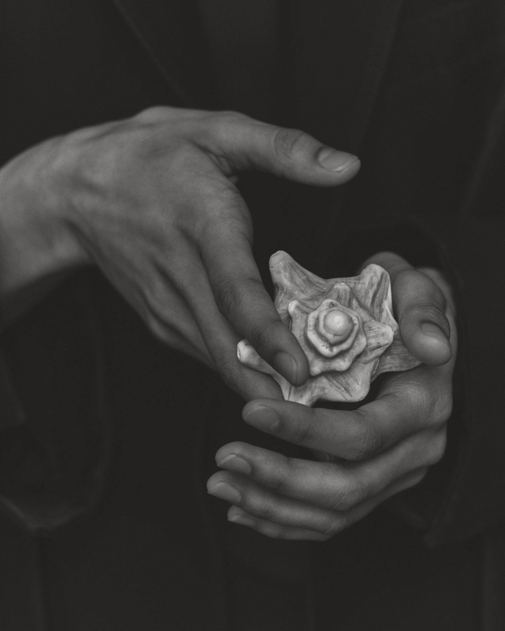 Rowan Papier Photography
