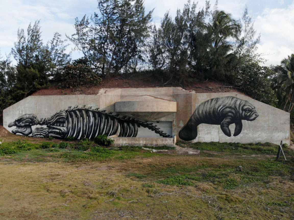 The Street Artist ROA Combines Art And Biology To Celebrate Puerto Rico ...