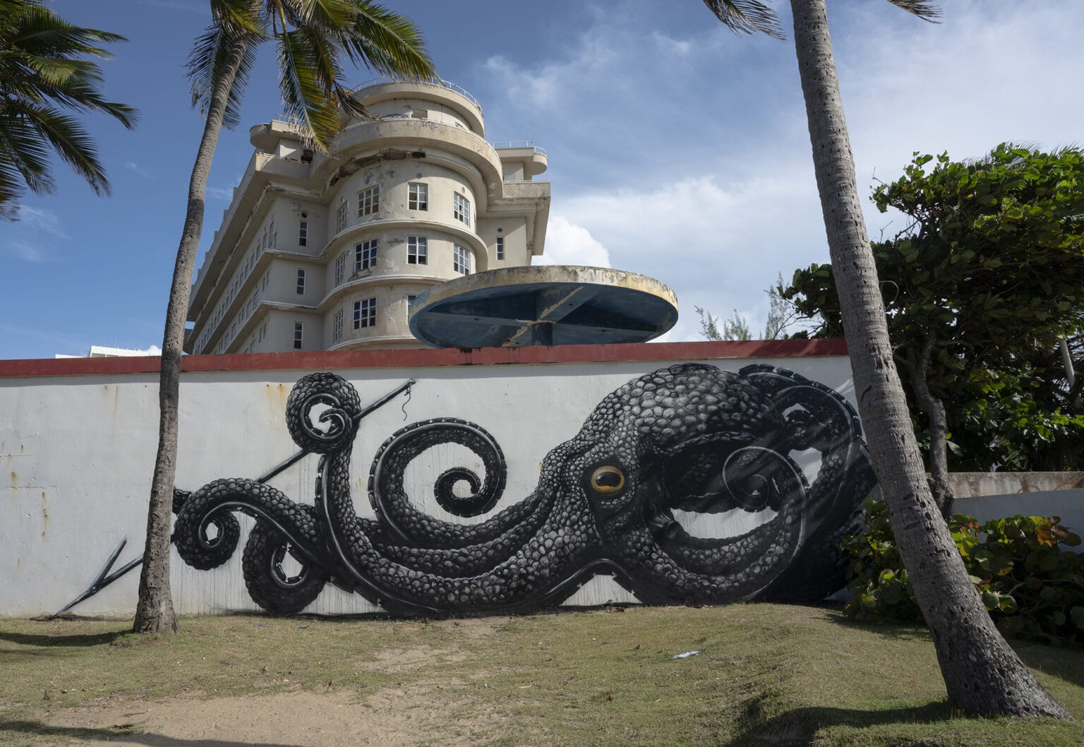 The street artist ROA combines art and biology to celebrate Puerto Rico’s Biodiversity