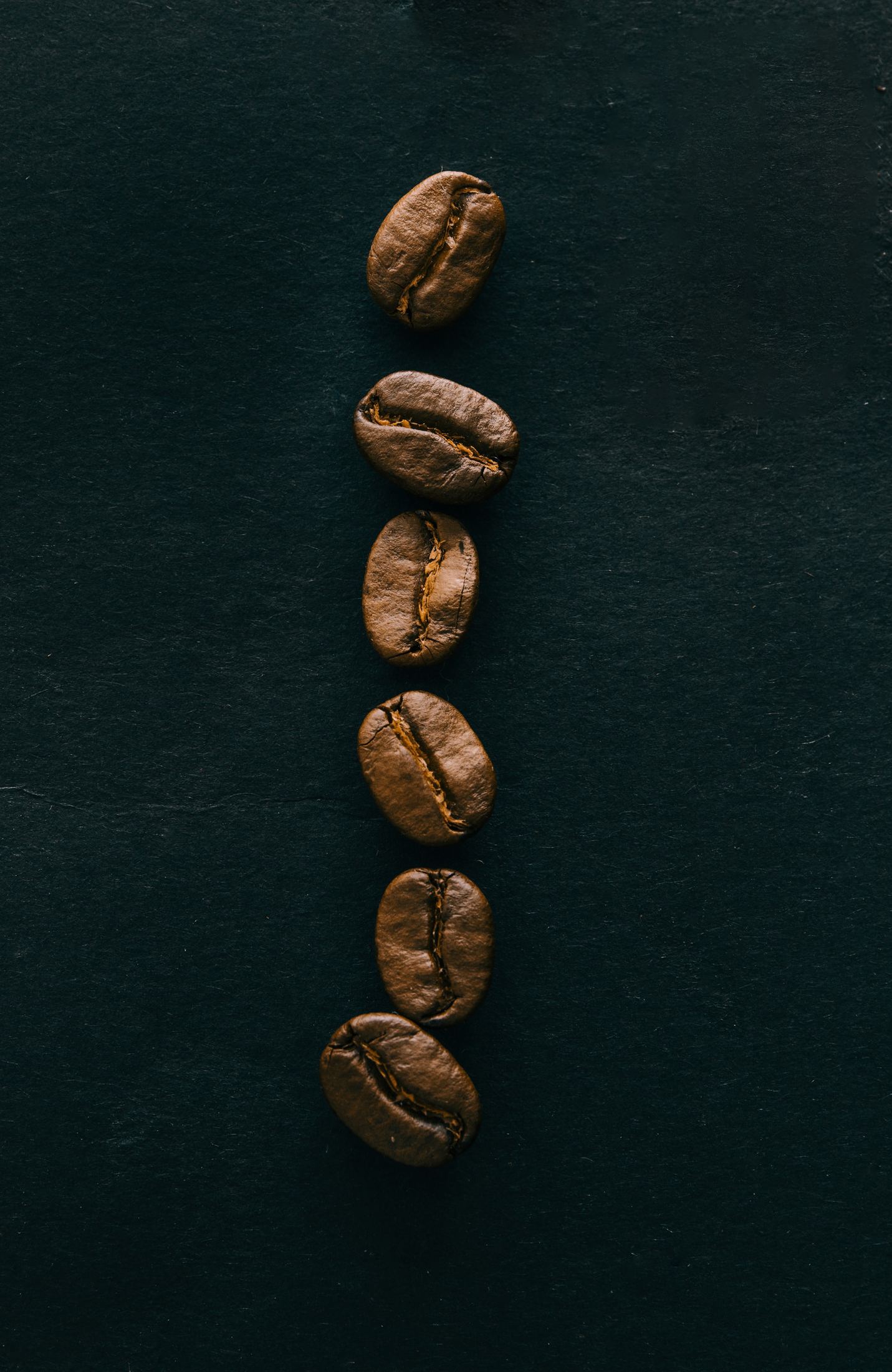 six brown coffee beans on blue surface