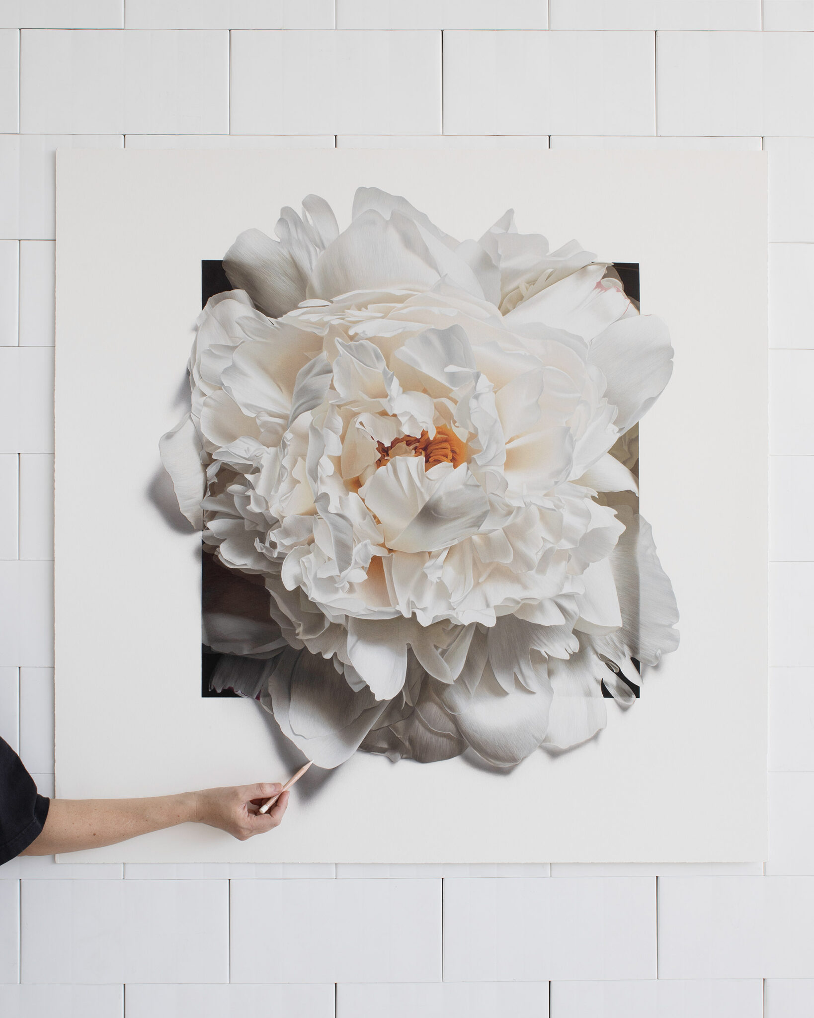 How CJ Hendry Transforms Flowers into Hyperrealistic Drawings