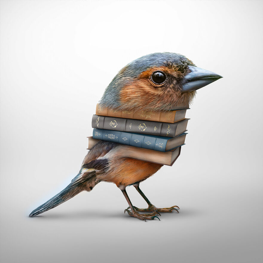 A Look Into the Surreal World of Ingo Lindmeier