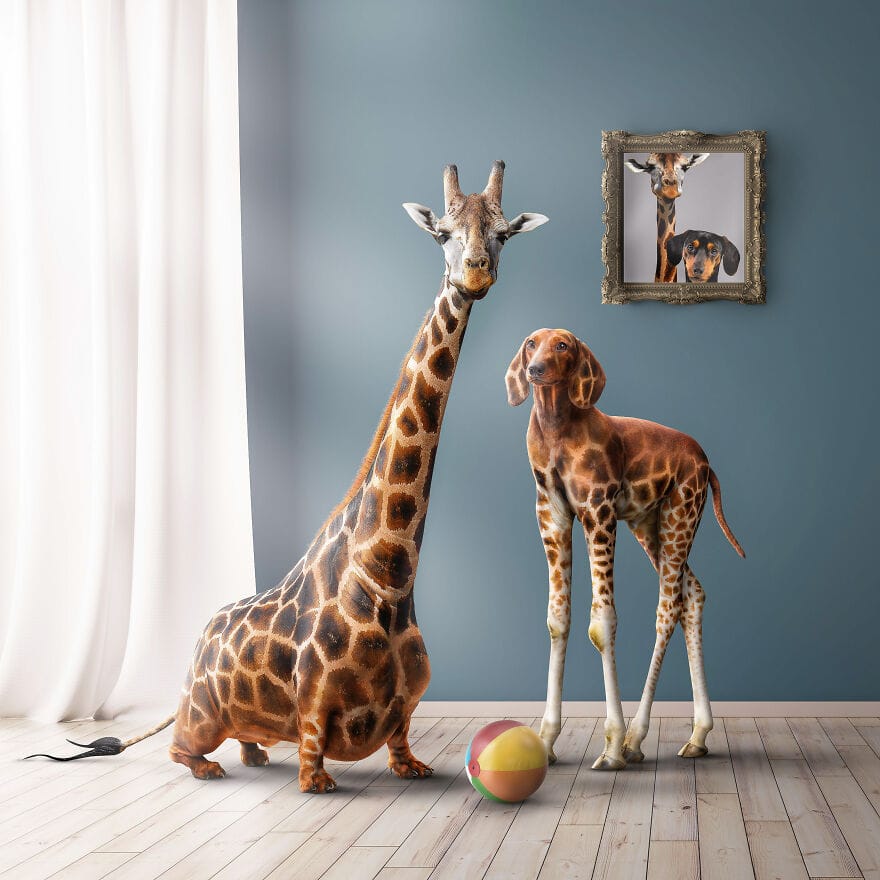 A Look Into the Surreal World of Ingo Lindmeier