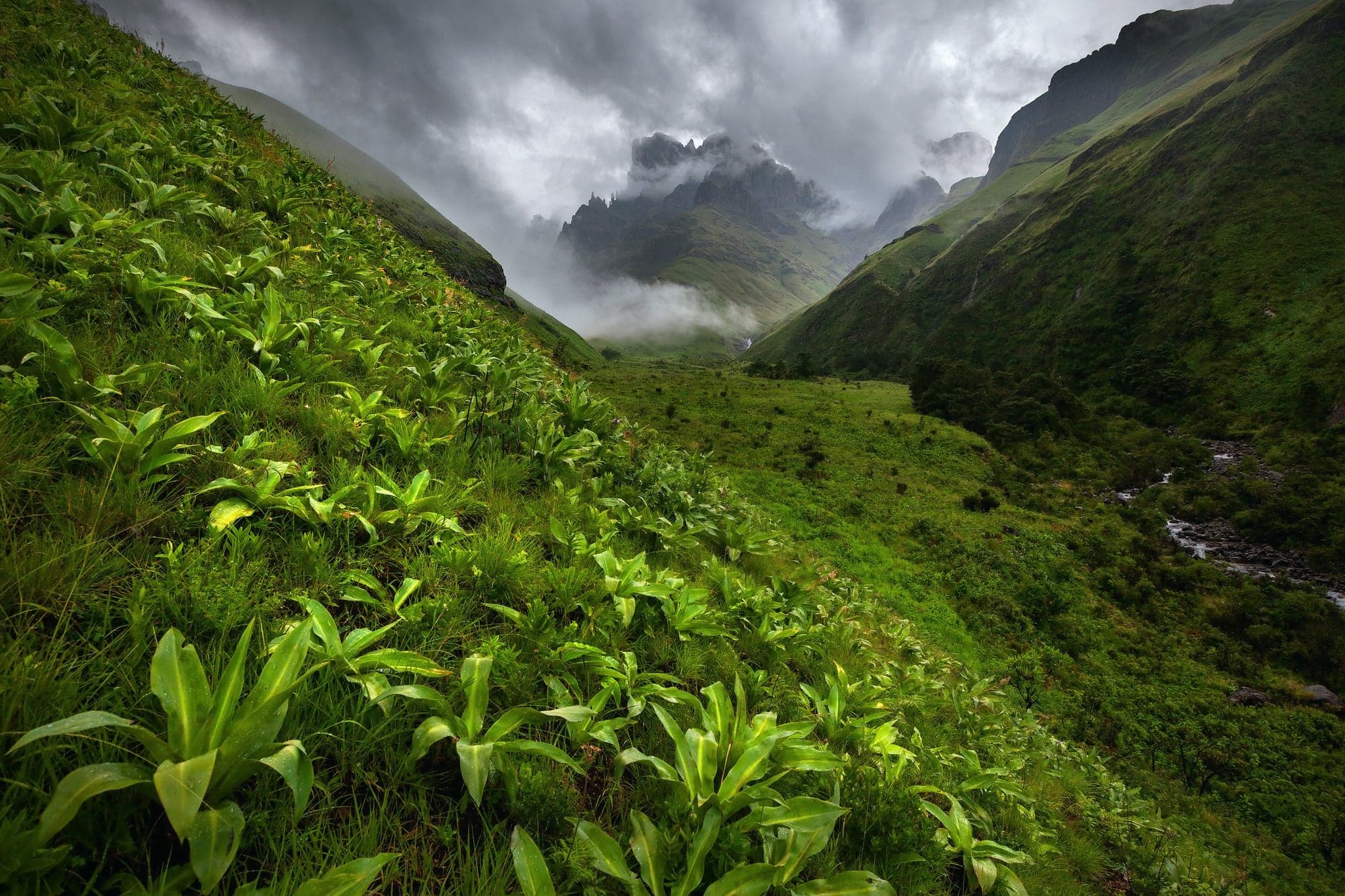 The Natural Landscape Photography Awards: Breathtaking Topographies and Wildernesses